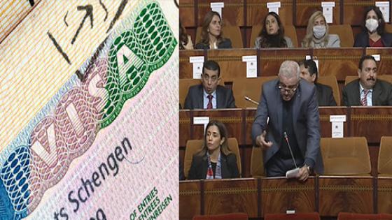 في جلسة برلمانية.. مطالب بفرض الفيزا على الفرنسيين