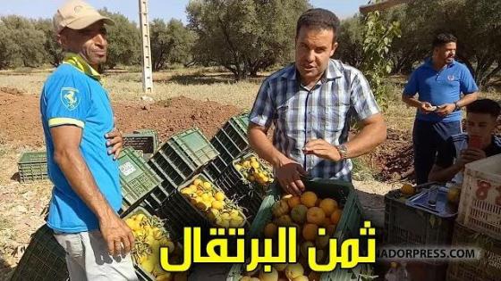 شوفو شحال كيدير لتشين “البرتقال” نواحي بني ملال