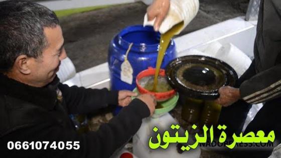 هكذا يتم عصر الزيتون لاستخراج الزيت | NADORPRESS