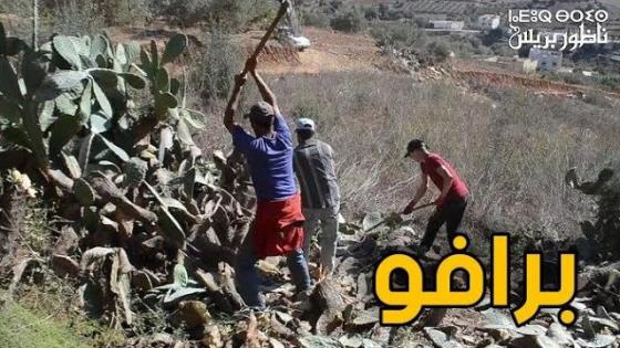 شوفو أش كيديرو فهاد الدوار