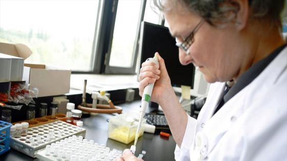 اكتشاف عضو جديد في جسم الإنسان.. ما وظيفته؟