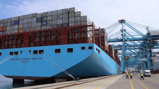 مهنيون يتهمون الحكومة بالتسبب في تدمير تنافسية قطاع التصدير