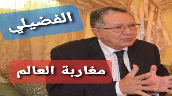 البرلماني الفضيلي يتحدث عن مغاربة العالم ودور المنتخبين للحد من جائحة كورونا