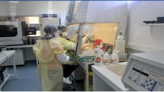 وزارة الصحة: رفع “الطوارئ” رهين بتراجع مؤشر انتشار الفيروس