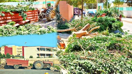 لغرض شخصي.. جريمة بيئية تثير غضب نشطاء ببن طيب والسلطة المحلية تتدخل