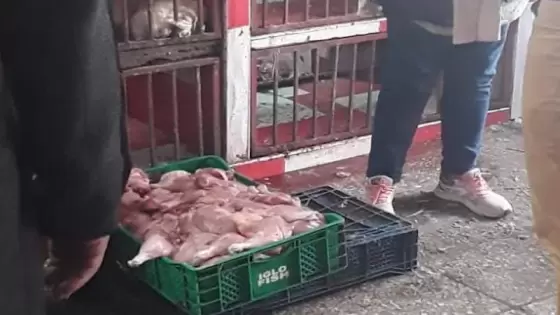 ضبط كميات كبيرة من لحم الدجاج الفاسد في محلات الوجبات السريعة بالدار البيضاء