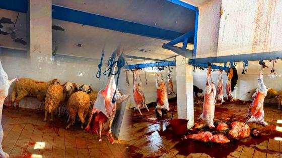 {"remix_data":[],"remix_entry_point":"challenges","source_tags":[],"origin":"unknown","total_draw_time":0,"total_draw_actions":0,"layers_used":0,"brushes_used":0,"photos_added":0,"total_editor_actions":{},"tools_used":{},"is_sticker":false,"edited_since_last_sticker_save":false,"containsFTESticker":false}