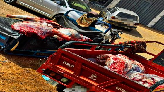 {"remix_data":[],"remix_entry_point":"challenges","source_tags":[],"origin":"unknown","total_draw_time":0,"total_draw_actions":0,"layers_used":0,"brushes_used":0,"photos_added":0,"total_editor_actions":{},"tools_used":{},"is_sticker":false,"edited_since_last_sticker_save":false,"containsFTESticker":false}