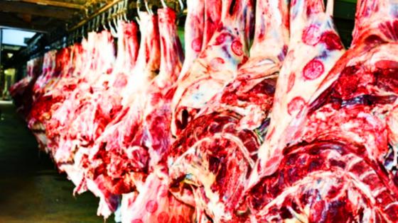 {"remix_data":[],"source_tags":[],"total_draw_time":0,"total_draw_actions":0,"layers_used":0,"brushes_used":0,"photos_added":0,"total_editor_actions":{},"tools_used":{},"is_sticker":false,"edited_since_last_sticker_save":false,"containsFTESticker":false}