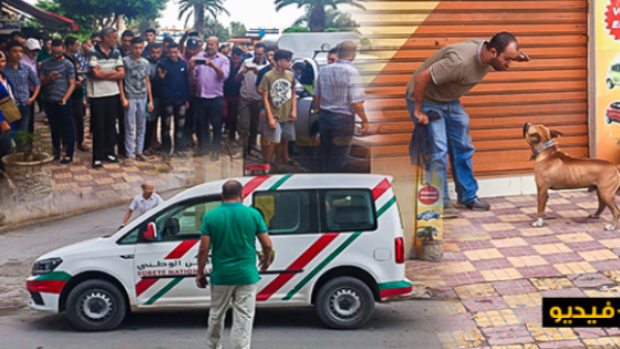 استنفار امني بالناظور لإعدام كلب من نوع “بيتبول” رميا بالرصاص