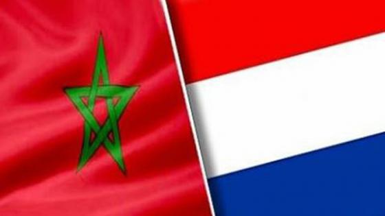 هولندا للمغرب: بيانكم حول سعيد شعو غير مفهوم ولا ضرورة له