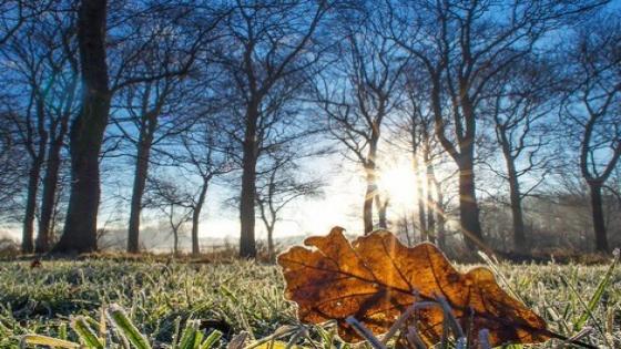 هذه توقعات الأرصاد الجوية لطقس اليوم الإثنين