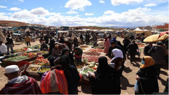 المجلس الاقتصادي يُوصي بإحداث صندوق لمواجهة الصدمات الكبرى للأسعار