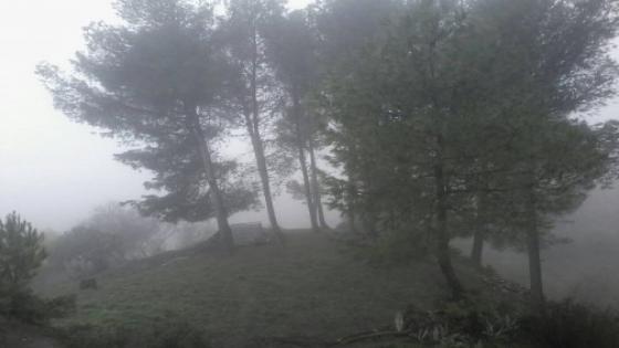 انتحار تلميذ في الابتدائي …عثر عليه معلقا بشجرة وترك رسالة غريبة