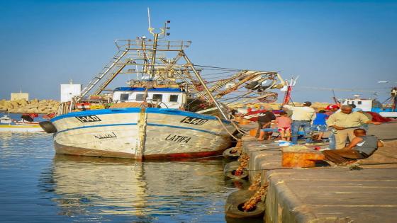 ميناء الناظور يستعد لتكوين قرابة 2000 سيدة في قطاع الصيد البحري بتأطير من منظمة اسبانية