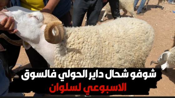 من قلب أشهر الاسواق الريفية.. شوفو شحال داير الحولي