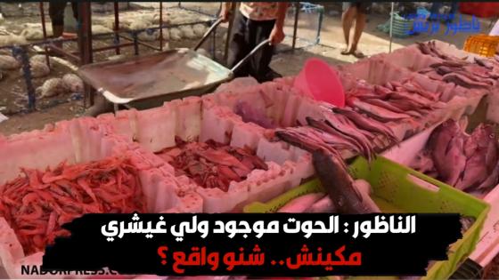 الناظور : الحوت موجود ولي غيشري مكينش.. شنو واقع ؟