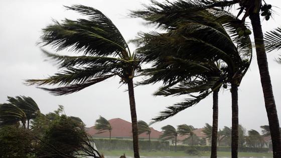 رياح قوية وتطاير للغبار تضرب عدة مناطق في المملكة