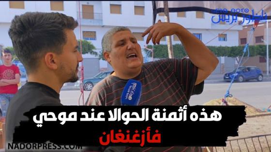 مع أنس : هذه أثمنة الحوالا عند موحي فأزغنغان وها شنو قال على الأعداء ديالو