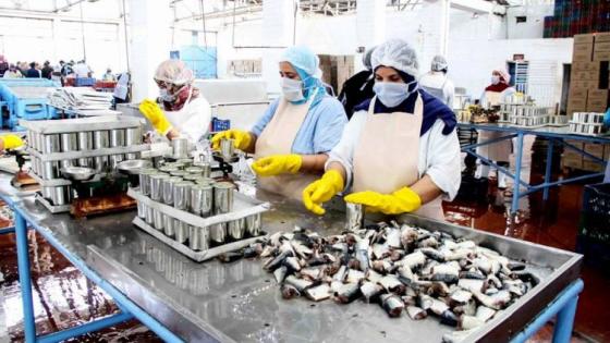 المعاناة مستمرة.. انقلاب حافلة لنقل العاملات بأسفي يودي بحياة حامل وإصابة 24 امرأة 6 حالتهم خطيرة